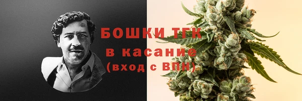 ПСИЛОЦИБИНОВЫЕ ГРИБЫ Балабаново