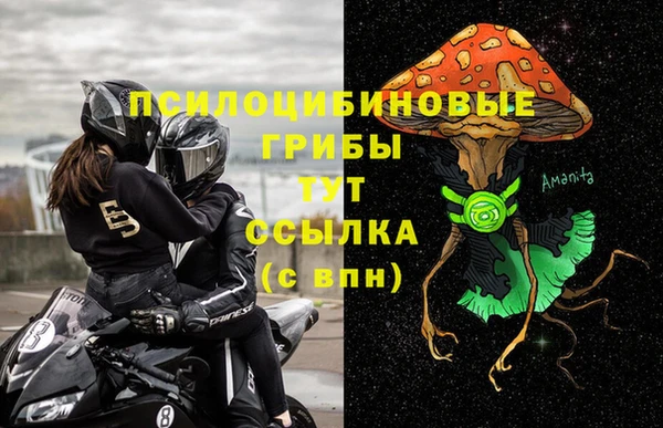 прущие крисы Арсеньев