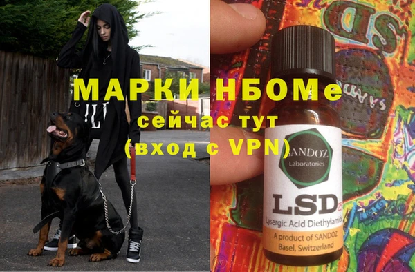 ПСИЛОЦИБИНОВЫЕ ГРИБЫ Балабаново