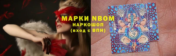 прущие крисы Арсеньев