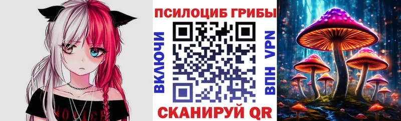 Галлюциногенные грибы Psilocybe  Купить где  Кропоткин 